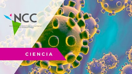 Des­ci­frar el ge­no­ma del co­ro­na­vi­rus para ex­po­ner sus pun­tos más vul­ne­ra­bles