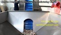 Large Capacity of Garlic Processing Line Spanish Customer Custom Garlic Splitting and Peeling Machine and Garlic Clove Different Size Grading Machine