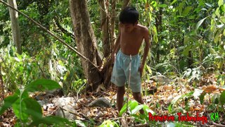 Primitive Technology Eating Delicious Cooking-Chicken Dead