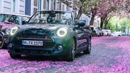 The new MINI Convertible Sidewalk and the beautiful colours of cherry blossom