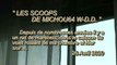LES SCOOPS DE MICHOU64 W-D.D. - 26 AVRIL 2020 - PAU - RETOUR DES MARTINETS DANS LEUR NID DU CAISSON DU VOLET ROULANT