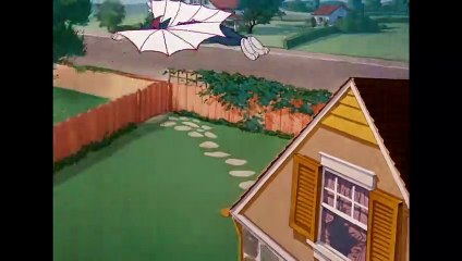 Tom & Jerry _ Tom the Cat or Tom the Bird