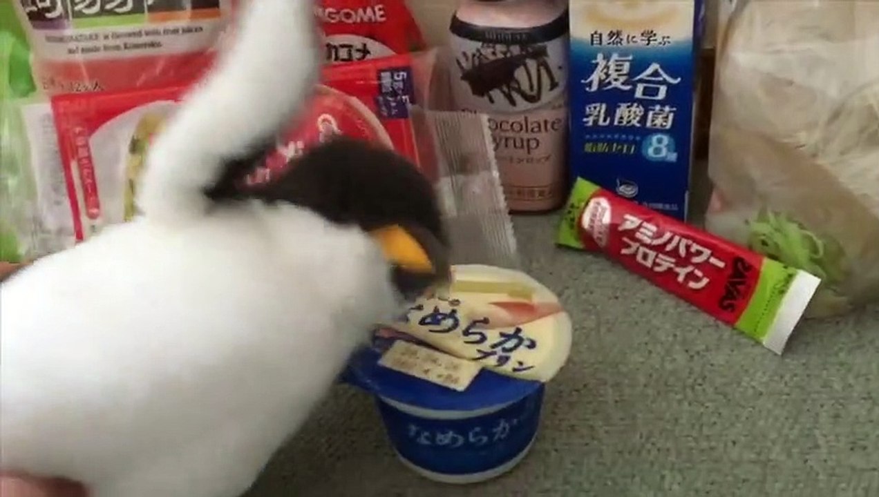 【コンビニ】なめらかプリンに１手間加えるだけで...