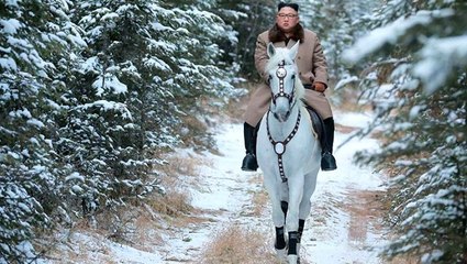 Kuzey Kore'de Kim Jong-un'un yerine kim geçebilir?