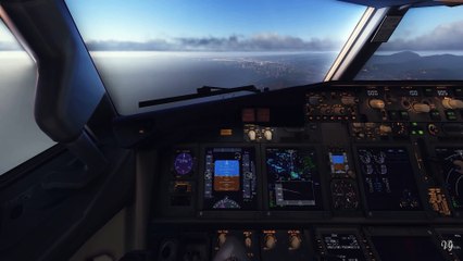 Boeing 737-800 landing