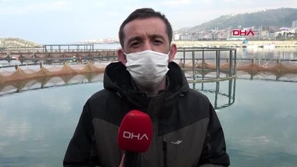 TRABZON Karadeniz'de av sezonu bitti, kültür balıkçılığına ilgi arttı