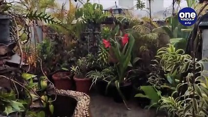 பெங்களூருவில் இடியுடன் கனமழை- காலை முதல் வெளுத்து வாங்குகிறது - வீடியோ