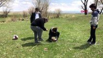 KARS Ermenistan sınırında ölü bulunan şahinlere inceleme