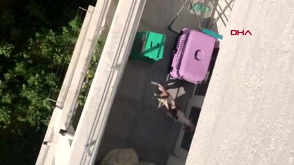 BURSA Üniversiteli komşusunun köpeğine kötü davranışını görüntüledi