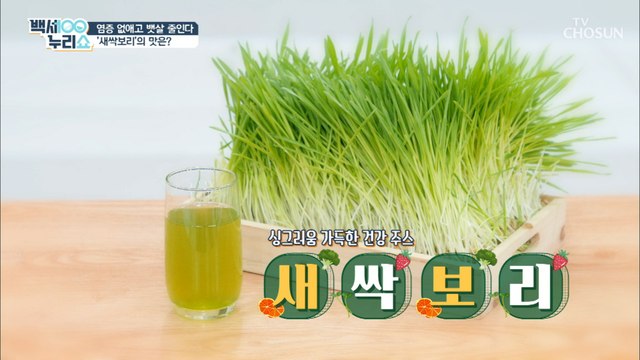 푸릇푸릇 새싹보리 영양분 최대 100배!