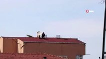 Hava almak için çatıya çıktı, karşısında polis dronesini görünce şaşkına döndü