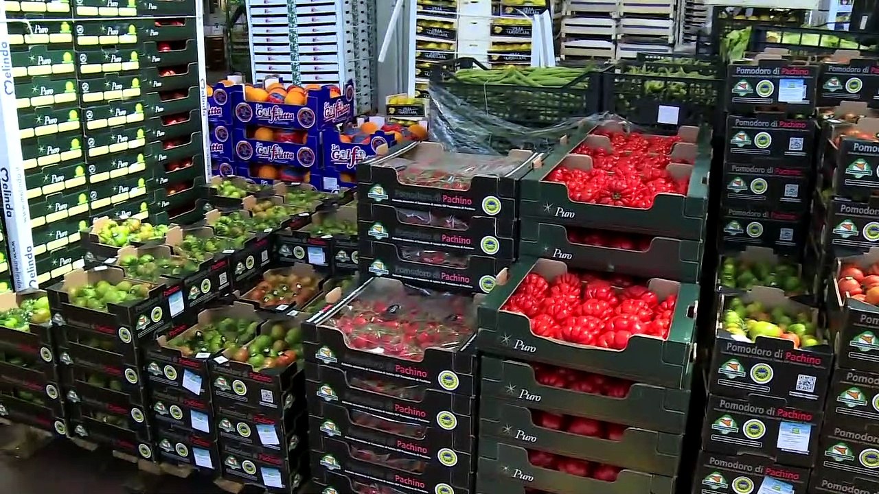 Rainews24 al Centro Agroalimentare Roma