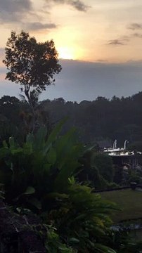 Ubud Bali 1 | Anthony S Casey Singapore