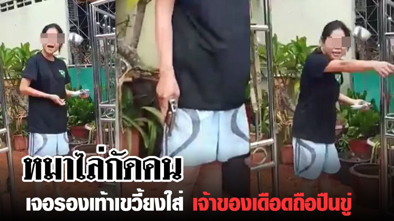 หมา 6 ตัววิ่งไล่ชาวบ้านเจอรองเท้าเขวี้ยงใส่ เจ้...