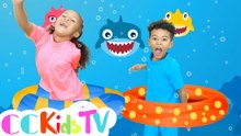 Baby Shark | Baby Shark Song | Baby Shark With Adam & Peyton! CC Kids Tv Baby Shark Song