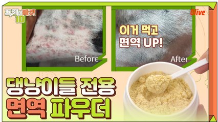 댕냥이들 면역력 관리에 딱! 반려동물 면역 파우더☆