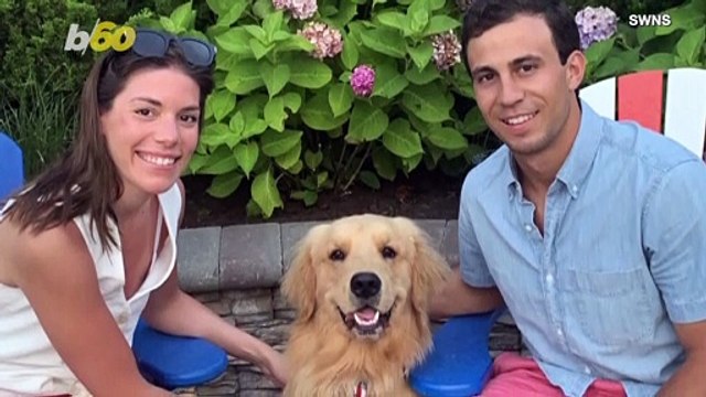 Petrified Pooch! Watch Cute Canine Nervously Rescue His Ball From the Sea!