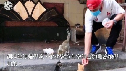 petmao_curation_mobile-copy1-20200429-20:29