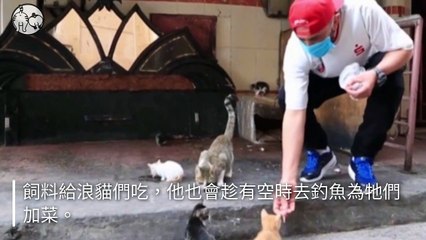 petmao_curation_mobile-copy3-20200429-20:29