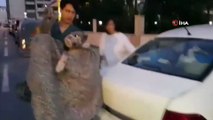 Silivri’de yaralı kangal cinsi köpek açlıktan ölmek üzereyken bulundu