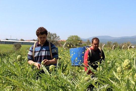 Festival iptal olunca internetten enginar satışları patladı