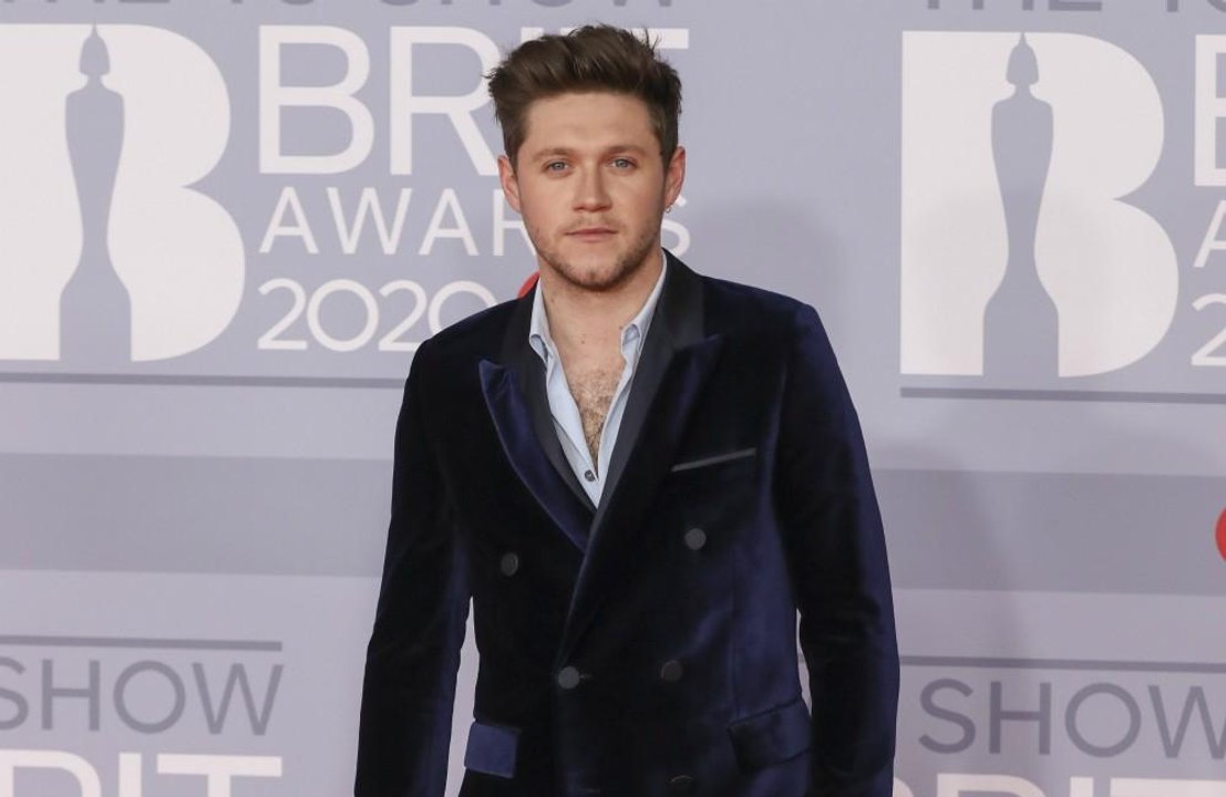 Niall Horan and Lewis Capaldi writing together remotely during lockdown