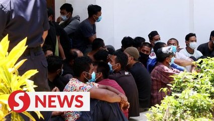 Lawyer: 154 were in Selangor jungle for agriculture activities
