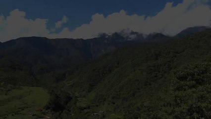 Breeding Birds of Tatamá - Colombia