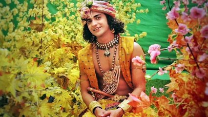 Sumedh Mudgalkar aka Krishna DELETES His Social Media Account