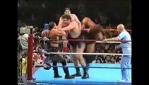 WWE/NJPW/AJPW WRESTLING SUMMIT 1990 Part 3