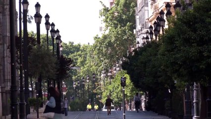 Sevilla constituye la comisión para la reactivación de la ciudad con el apoyo unánime de grupos