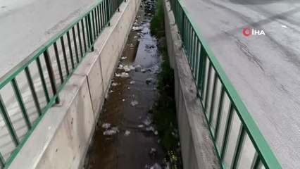 Karabük'teki görüntüler pes dedirtti...Kullandıkları eldivenleri dereye attılar