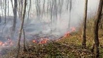 Ormanlık alanda çıkan yangın kontrol altına alındı