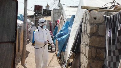 بكسر التاء- الدول العربية في مواجهة الوباء