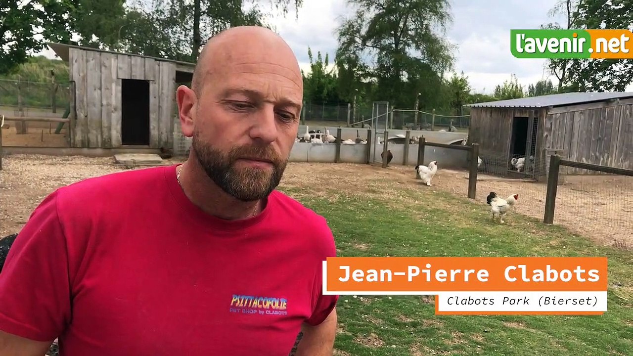 VIDÉO | Coronavirus : des poules qui s’arrachent?
