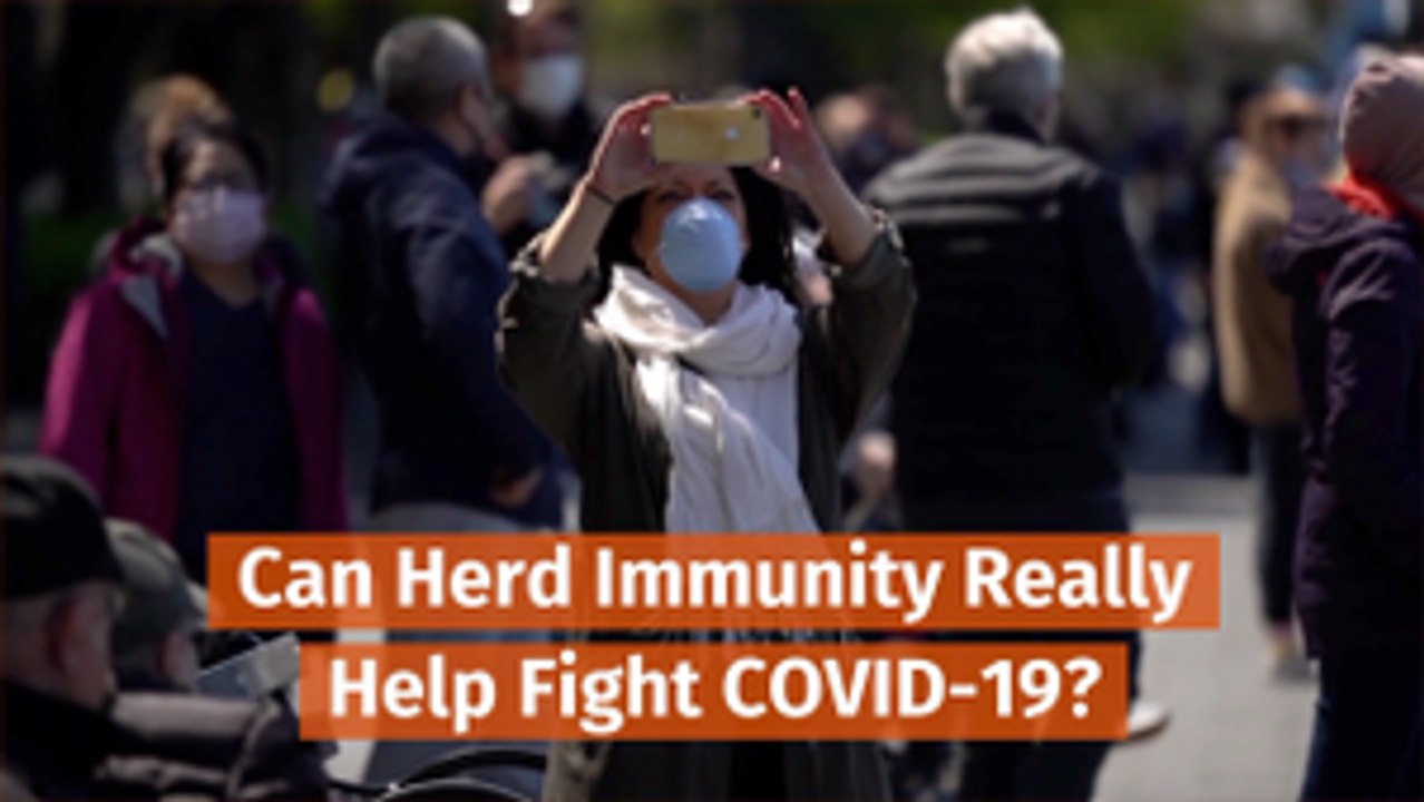 Explaining Herd Immunity
