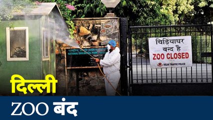 Corona virus : कोरोना वायरस के चलते दिल्ली की चिड़ियाघर किया गया बंद