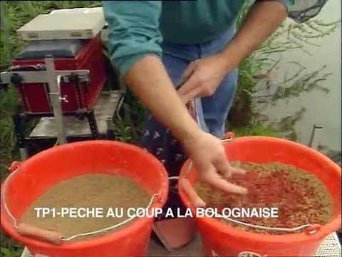 Pêche au coup à la bolognaise