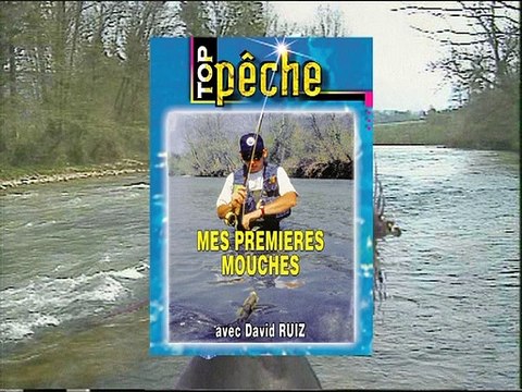 Mes premières mouches