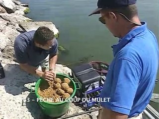 Pêche au coup du mulet