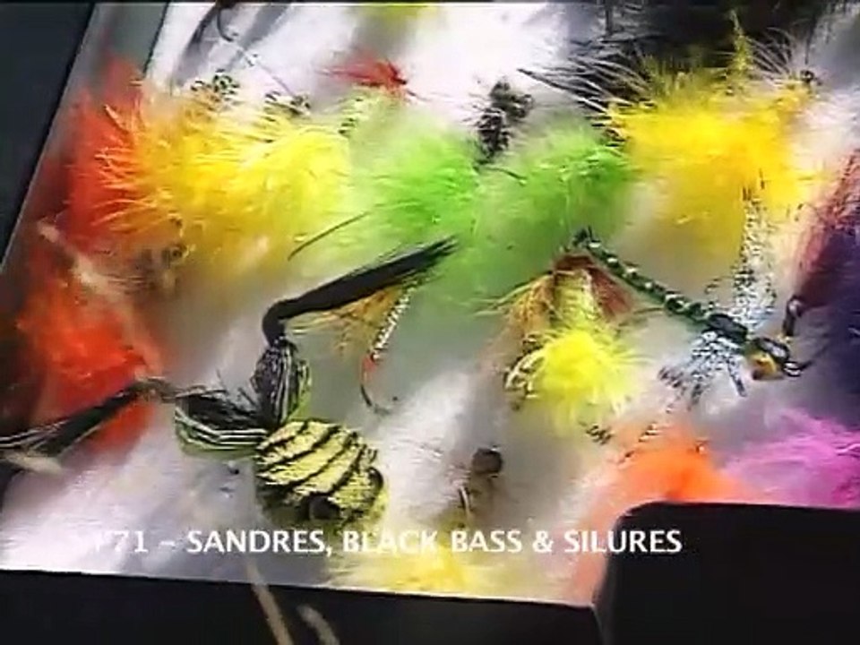 Sandres black bass silures Méquinenza