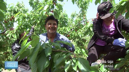 Gündüz Gece - Bilecik - 9 Haziran 2018