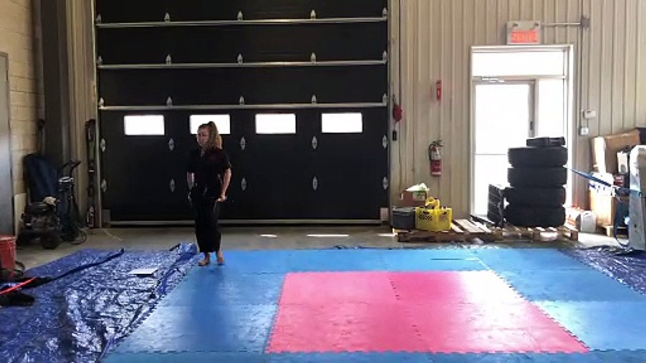 video 1 frederique dion