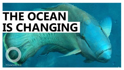 The Ocean Is Changing More Now Than in the Past 10,000 Years