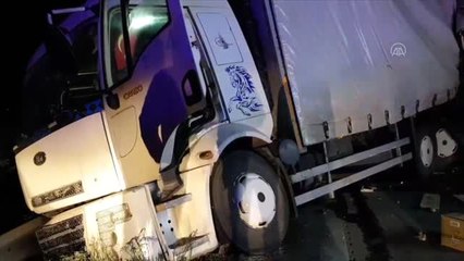 Kocaeli'de iki kargo kamyonu çarpıştı: 1 yaralı