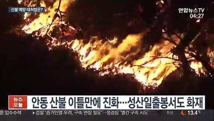 건조한 날씨 계속…황금연휴 산불 예방법은?