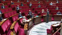 1ère séance : Questions au Gouvernement - Mercredi 29 avril 2020