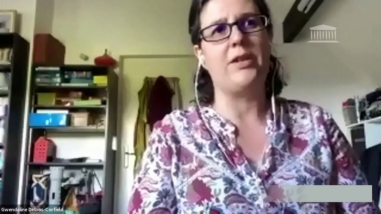 Commission des affaires européennes : Mme Gwendoline Delbos-Corfield, rapporteure au Parlement européen et M. Philippe Dam, Association Human Rights Watch - Mercredi 29 avril 2020