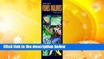 About For Books  Photo Guide To Fishes Of The Maldives  Best Sellers Rank : #5