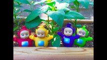 GREENHOUSE Gardening and BUGS with TELETUBBIES TOYS Learning For Kids-